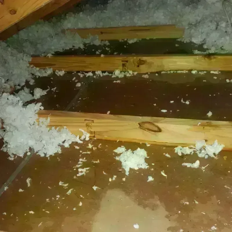 Attic Water Damage in Johnsburg, IL