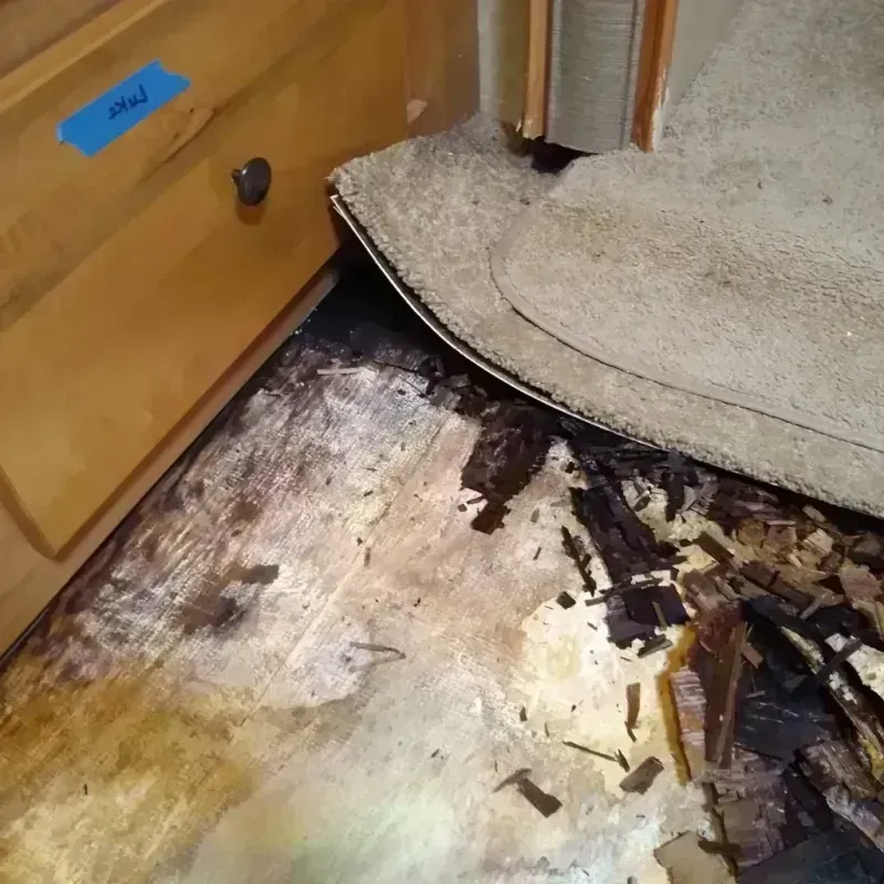 Wood Floor Water Damage in Johnsburg, IL